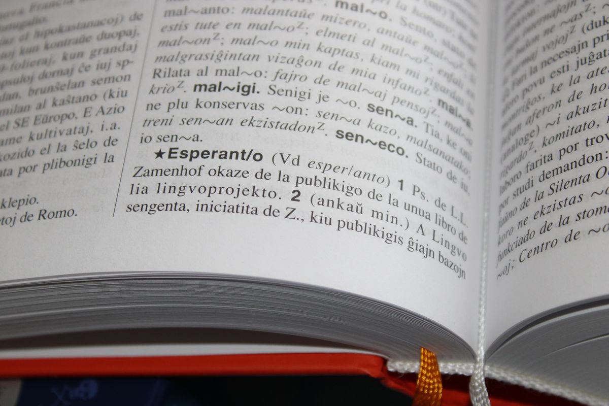 Close-up of an open dictionary page showing dense printed text and definitions