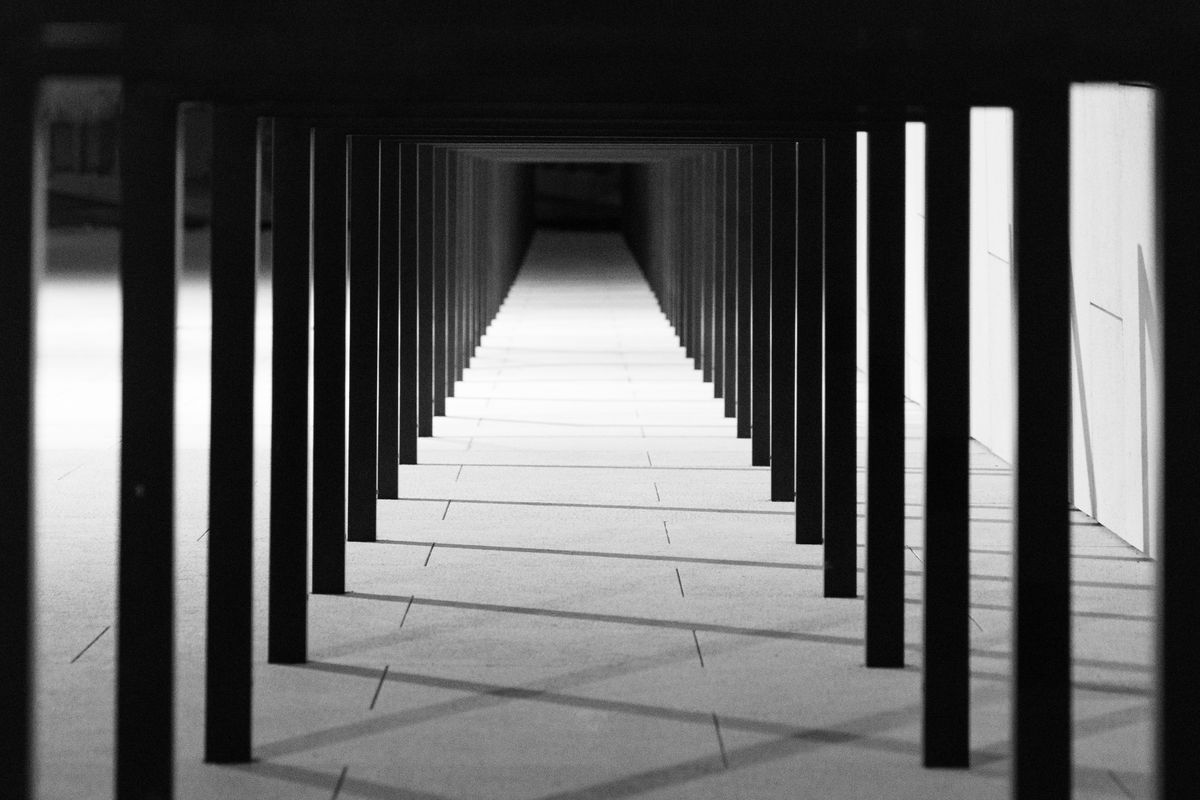 Interior of a government building with rows of tall columns and natural light