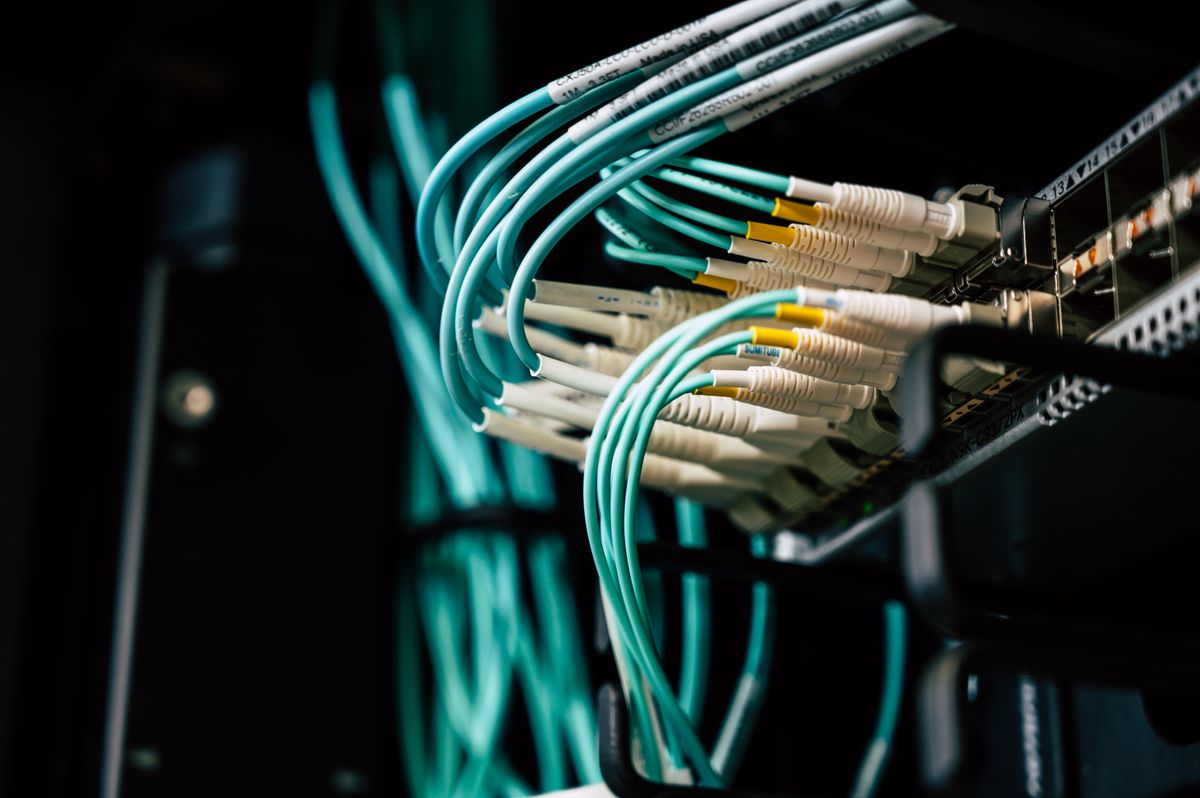 Network cables plugged into a server rack in a data center